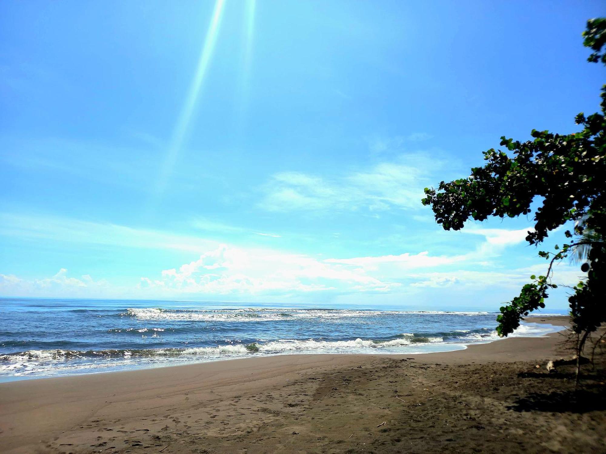 Tortuguero Adventures Beach House Dış mekan fotoğraf