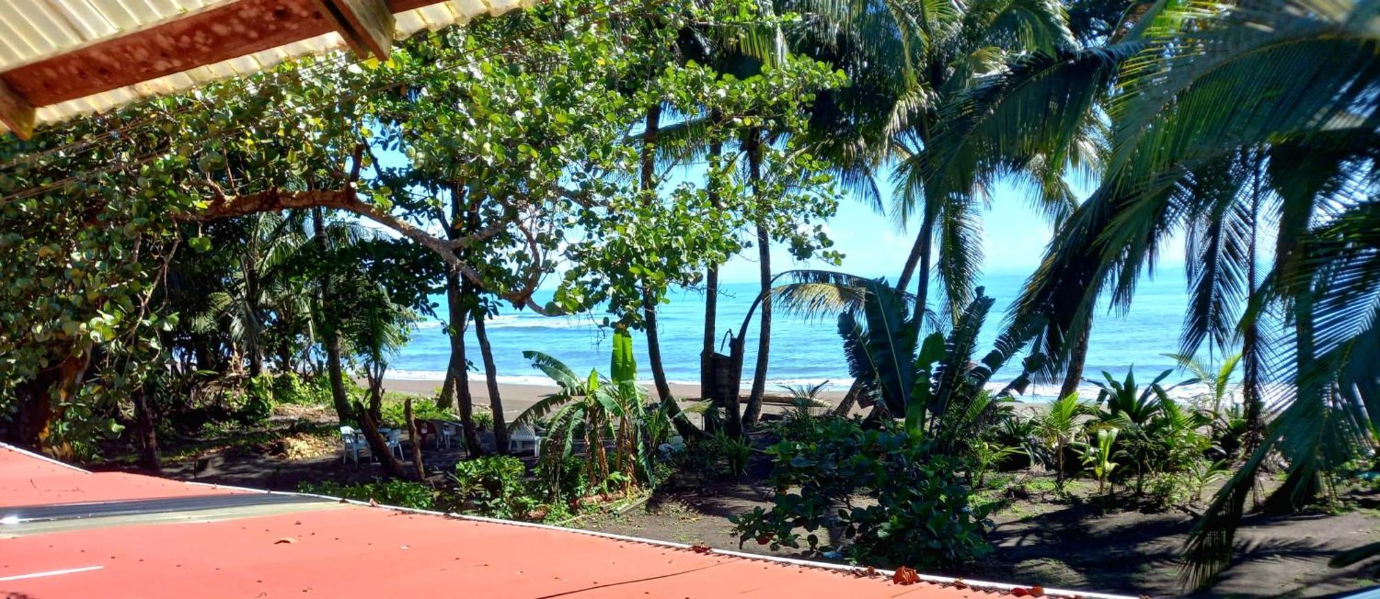 Tortuguero Adventures Beach House Dış mekan fotoğraf