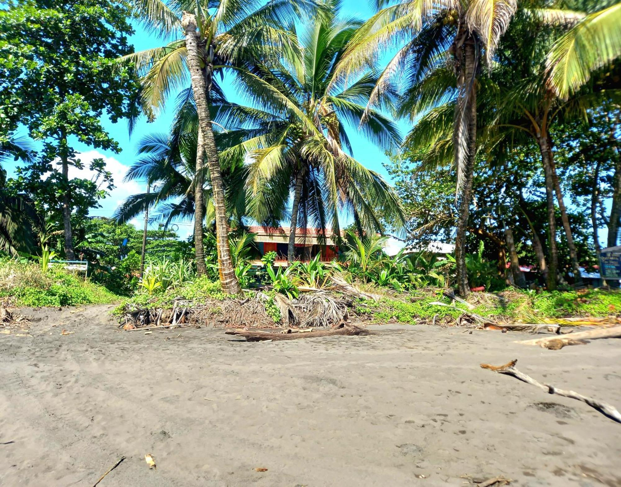 Tortuguero Adventures Beach House Dış mekan fotoğraf