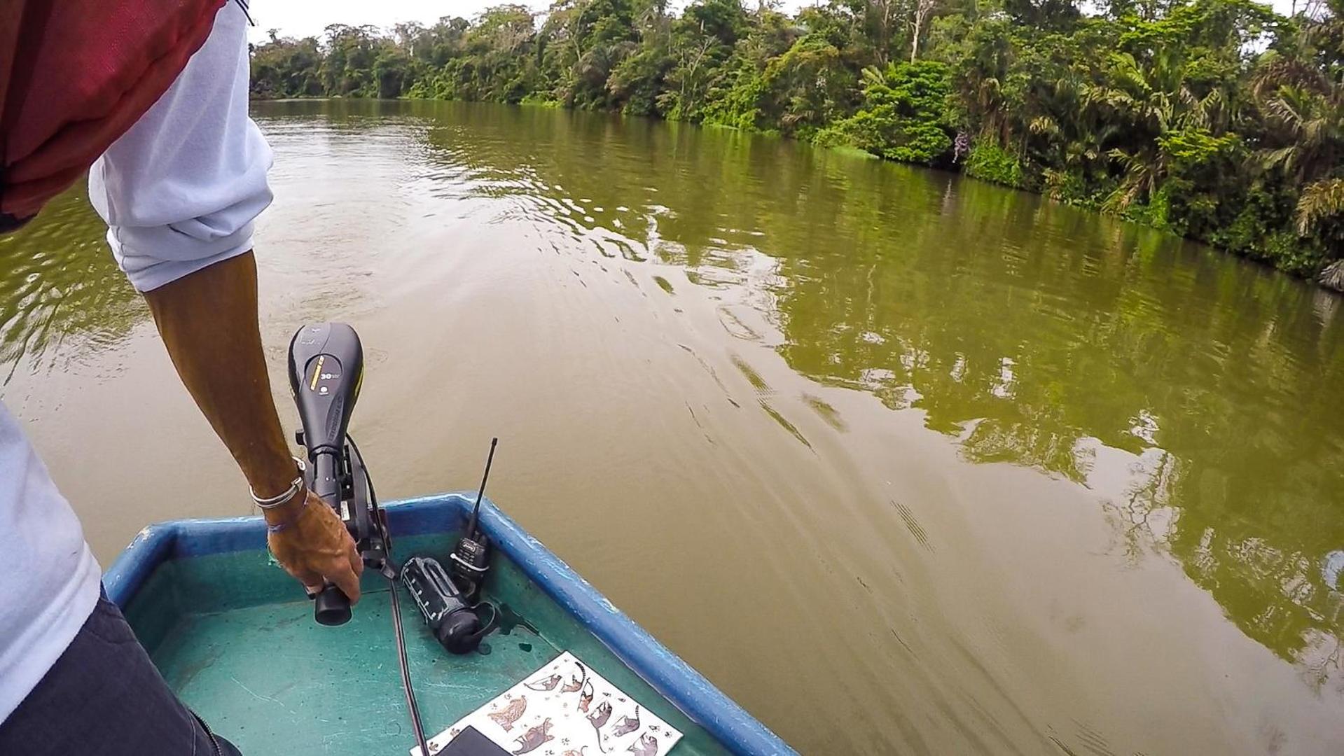 Tortuguero Adventures Beach House Dış mekan fotoğraf