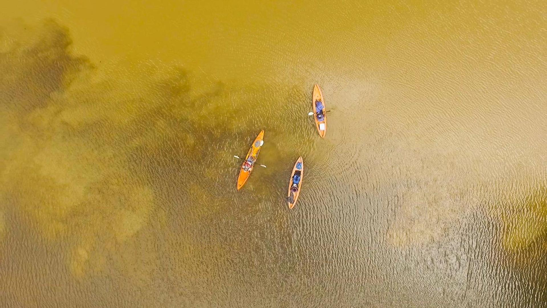 Tortuguero Adventures Beach House Dış mekan fotoğraf