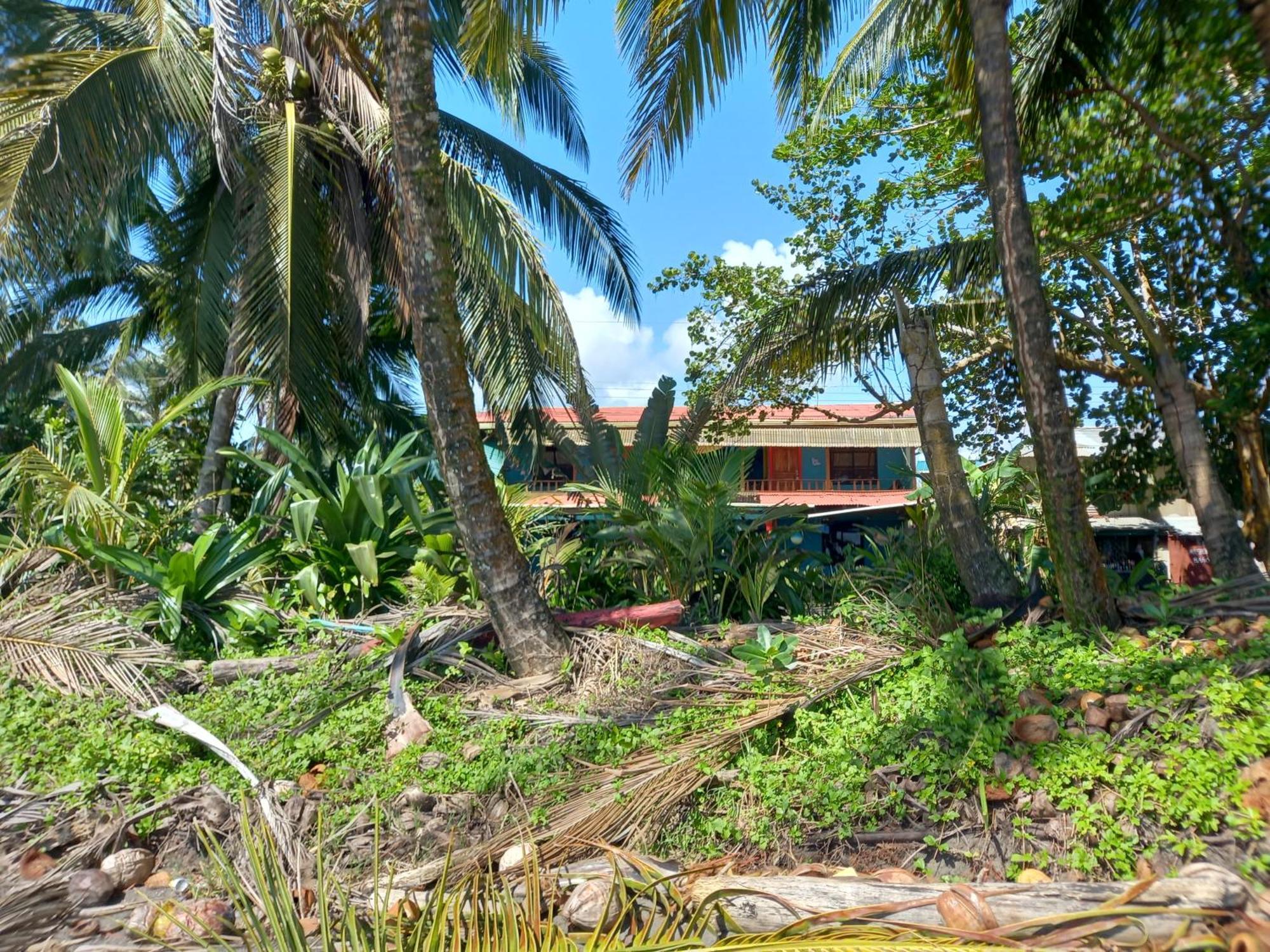 Tortuguero Adventures Beach House Dış mekan fotoğraf