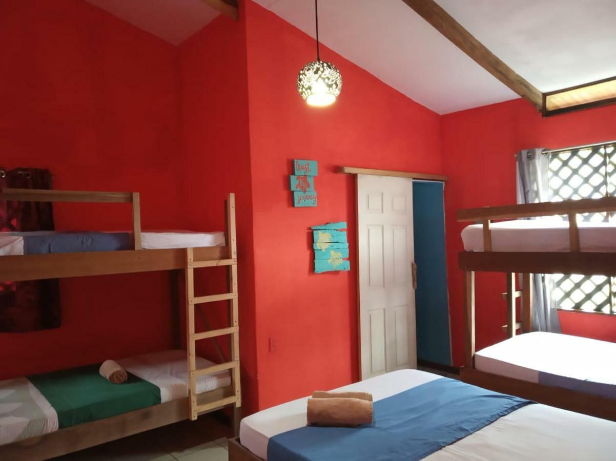 Tortuguero Adventures Beach House Dış mekan fotoğraf