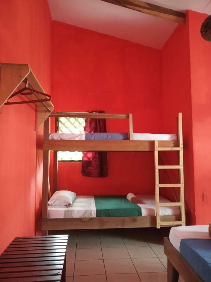 Tortuguero Adventures Beach House Dış mekan fotoğraf