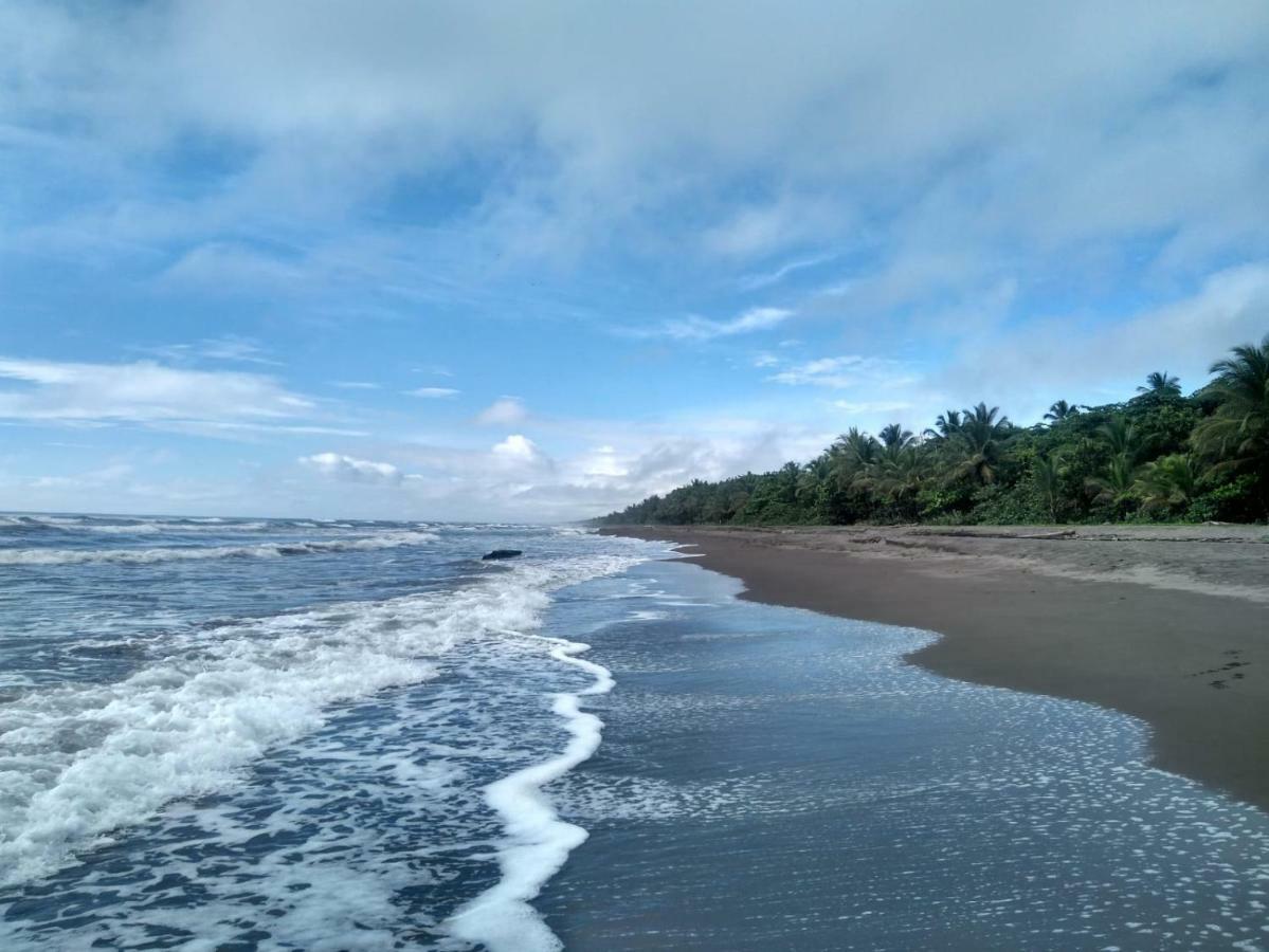 Tortuguero Adventures Beach House Dış mekan fotoğraf