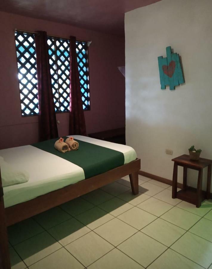 Tortuguero Adventures Beach House Dış mekan fotoğraf