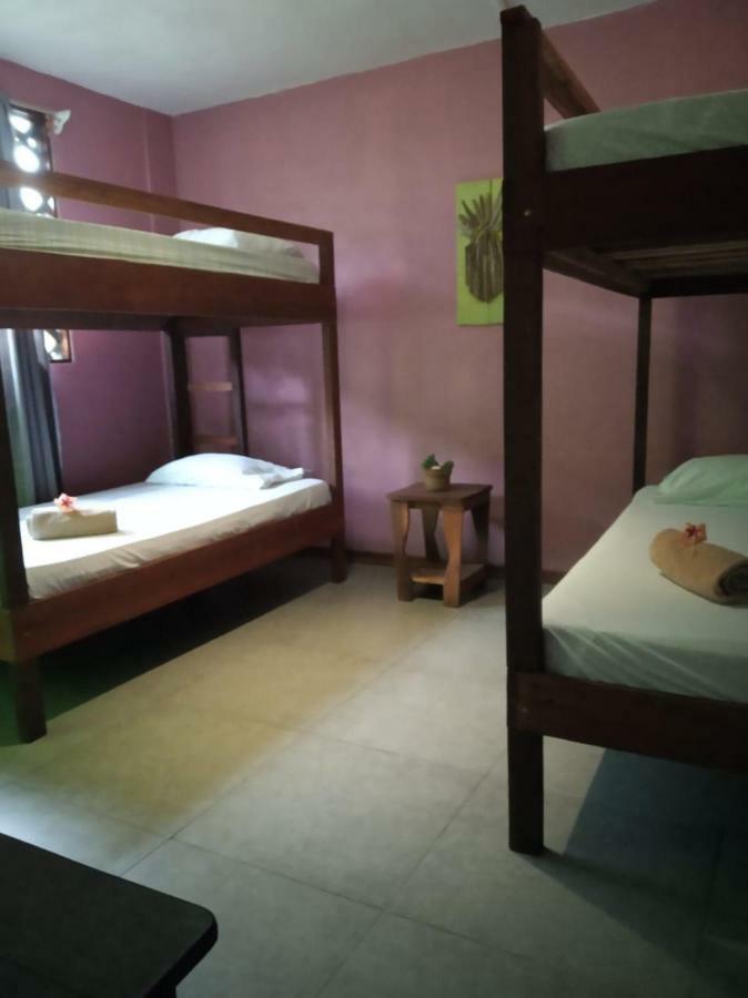Tortuguero Adventures Beach House Dış mekan fotoğraf