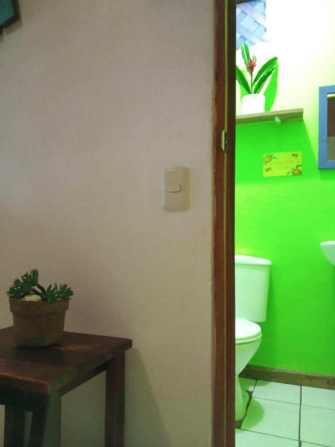Tortuguero Adventures Beach House Dış mekan fotoğraf